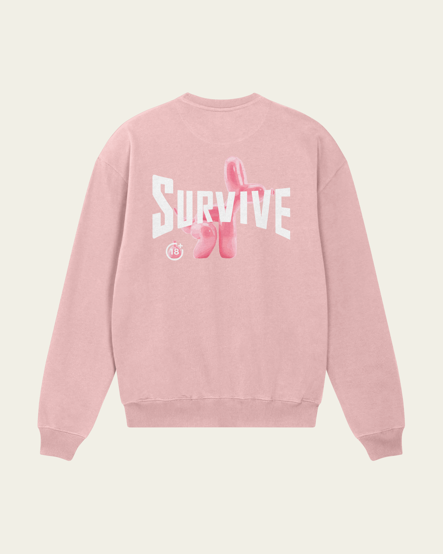 SWEATSHIRT ROSA DOG +18