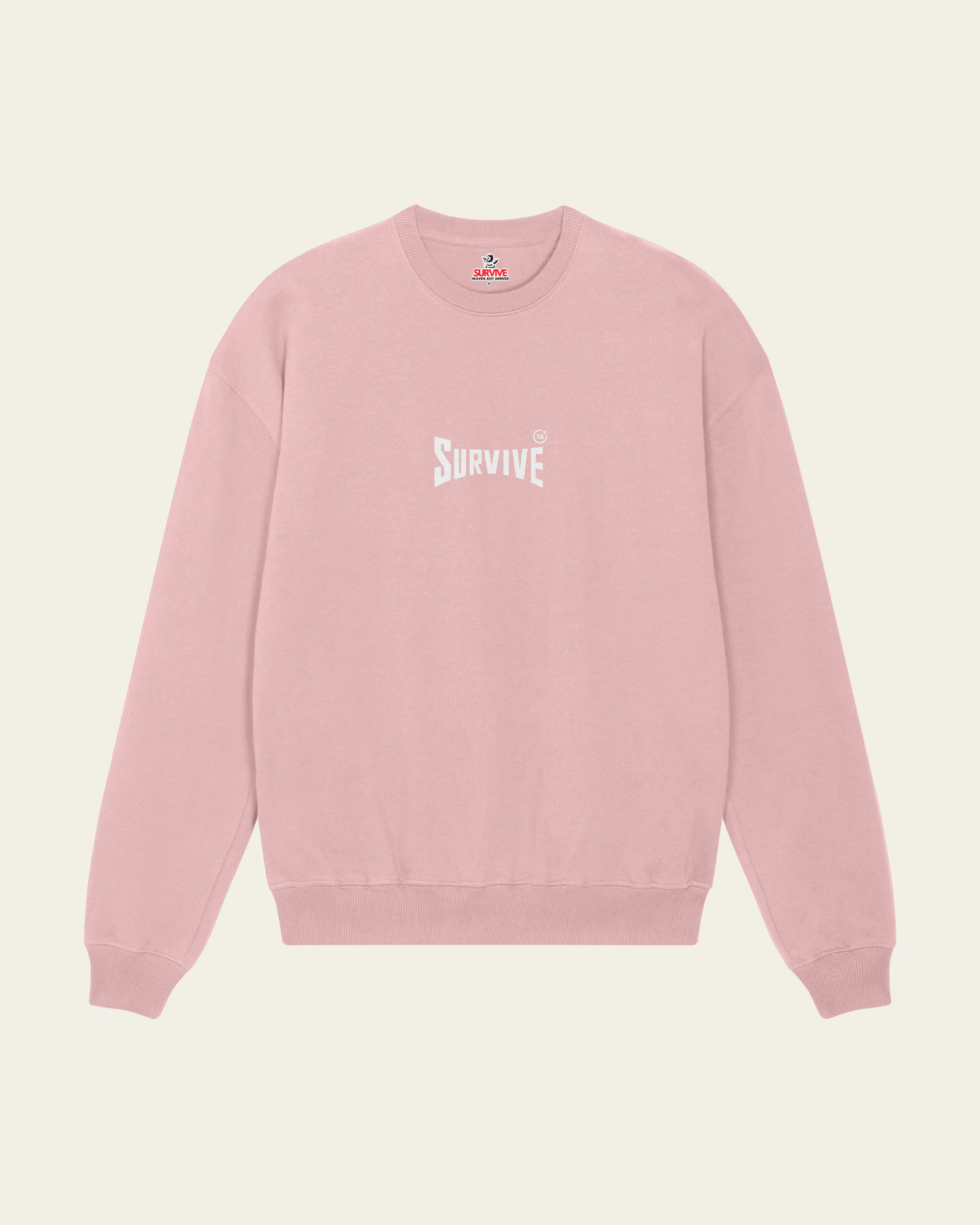 SWEATSHIRT ROSA DOG +18