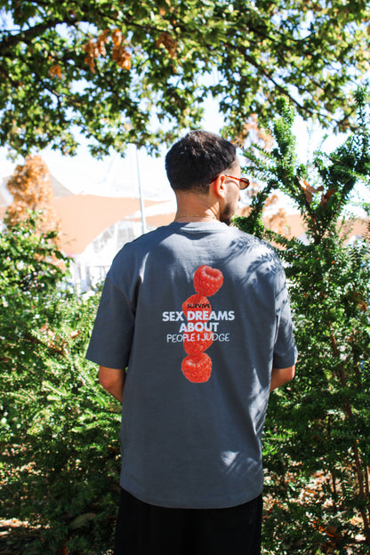 T-SHIRT IRON GREY OVERSIZED S*X DREAMS